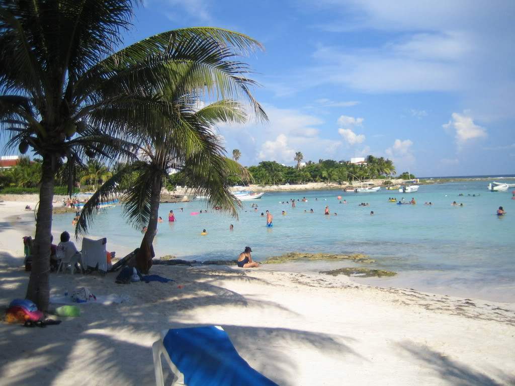 ai910.photobucket.com_albums_ac306_Correia69_IMG_2234.jpg_5e418dcc09c4b82972bbad9f439ca8ca.jpg