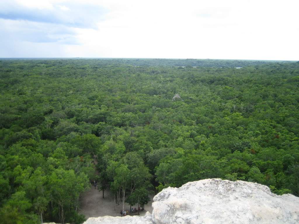 ai910.photobucket.com_albums_ac306_Correia69_IMG_2325.jpg_5f4cc3f90d1e4727453d23b209f144b3.jpg