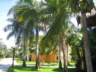 ai910.photobucket.com_albums_ac306_Correia69_IMG_2498.jpg_5bf9c30a4ac0db9a45a86906bae5ae33.jpg