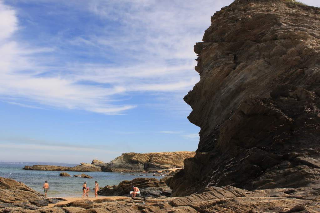 ai910.photobucket.com_albums_ac306_Correia69_Litoral_20alentejano_COSTAVICENTINA2011008.jpg