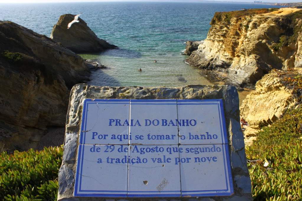ai910.photobucket.com_albums_ac306_Correia69_Litoral_20alentejano_COSTAVICENTINA2011073.jpg