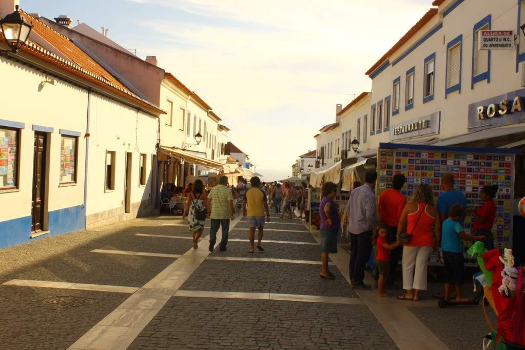 ai910.photobucket.com_albums_ac306_Correia69_Litoral_20alentejano_COSTAVICENTINA2011090.jpg