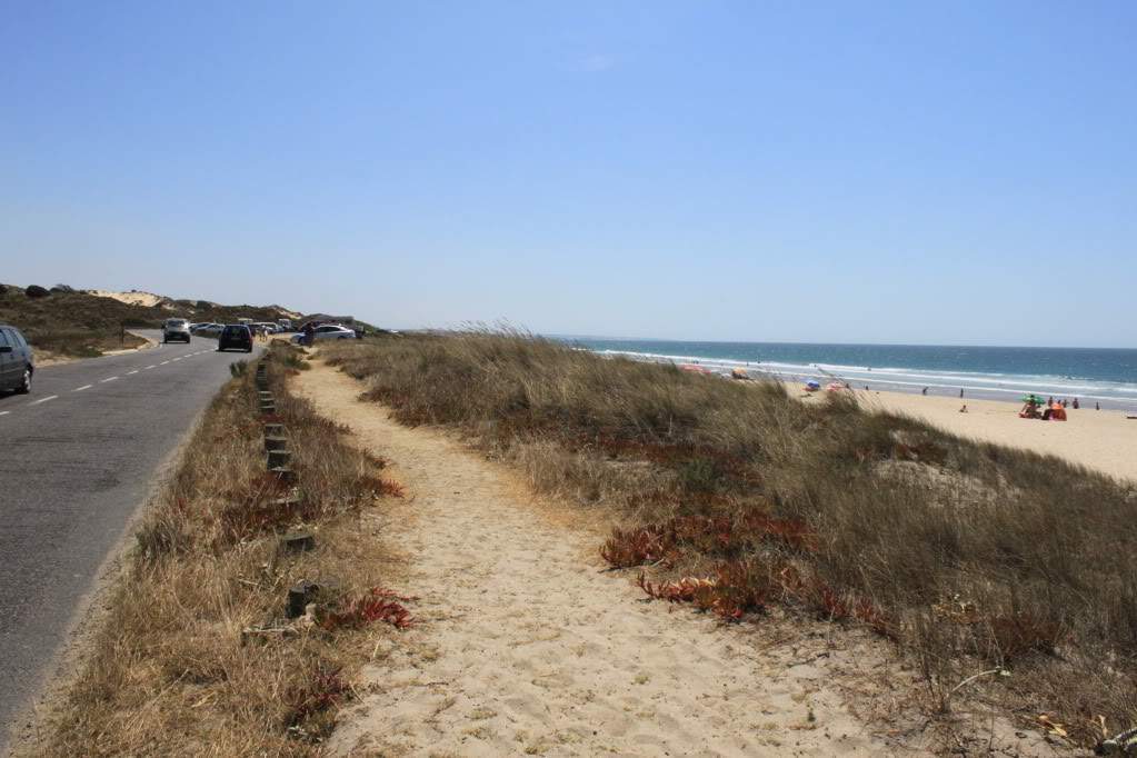 ai910.photobucket.com_albums_ac306_Correia69_Litoral_20alentejano_COSTAVICENTINA2011248.jpg