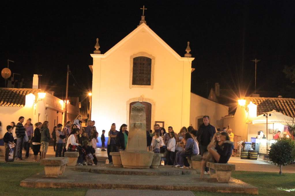 ai910.photobucket.com_albums_ac306_Correia69_Litoral_20alentejano_COSTAVICENTINA2011268.jpg