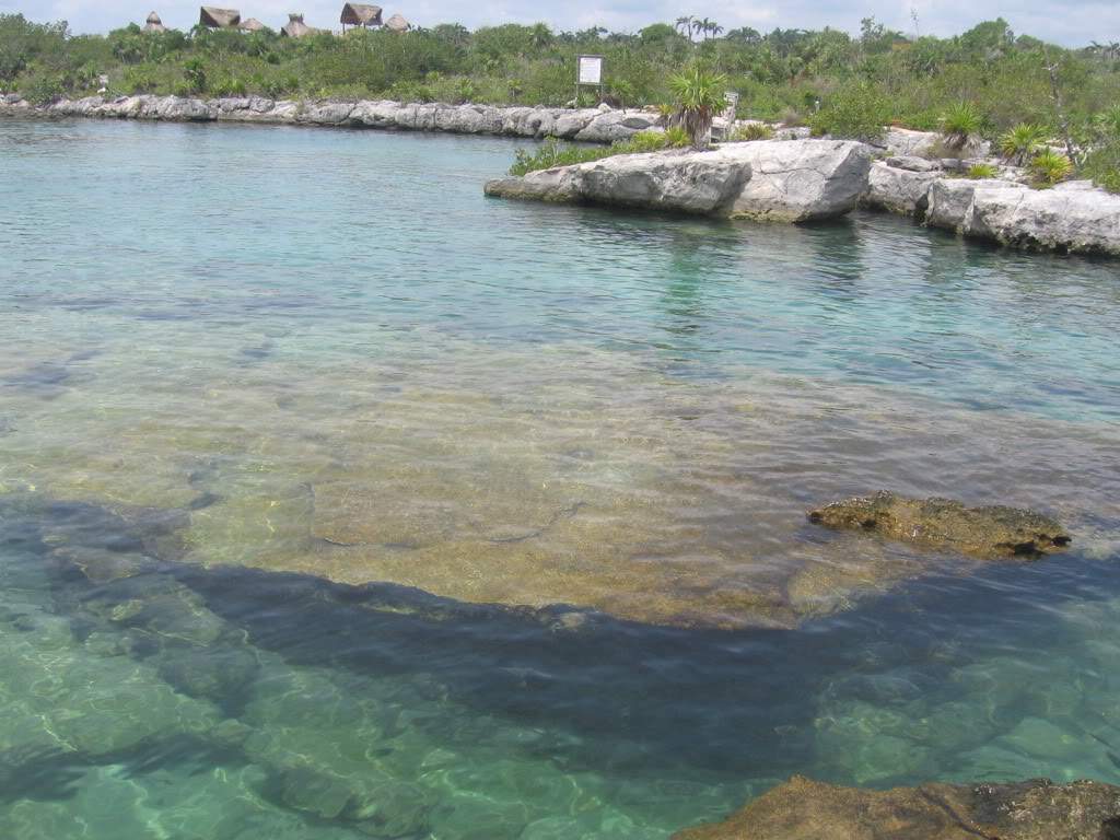 ai918.photobucket.com_albums_ad21_delly2_akumal.jpg