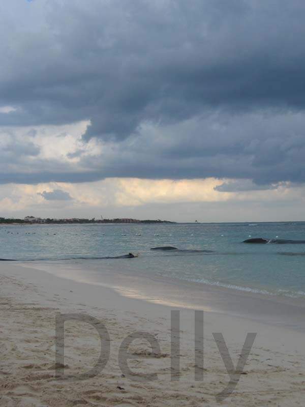ai918.photobucket.com_albums_ad21_delly2_BP_praia3.jpg