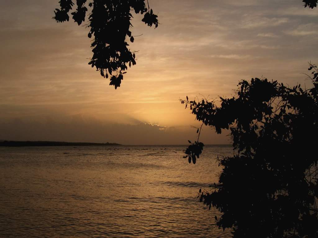 ai918.photobucket.com_albums_ad21_delly2_filhodavida1.jpg