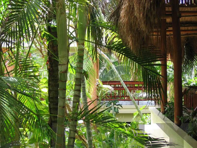 ai918.photobucket.com_albums_ad21_delly2_TULUM1.jpg