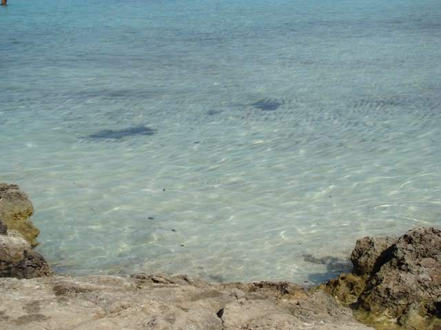 ai931.photobucket.com_albums_ad152_martav_menorca_202009_aguatransparentesonsaura.jpg