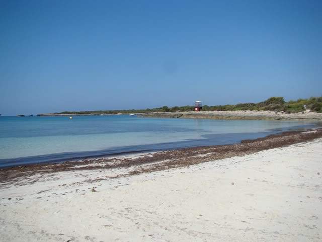 ai931.photobucket.com_albums_ad152_martav_menorca_202009_praiasonsaura.jpg