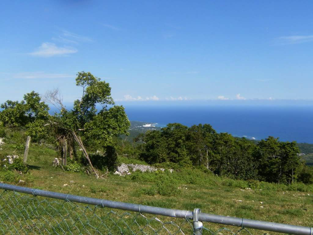 ai939.photobucket.com_albums_ad231_sandramos_HPIM1495.jpg
