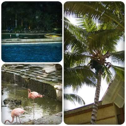 ai939.photobucket.com_albums_ad231_sandramos_report2.jpg