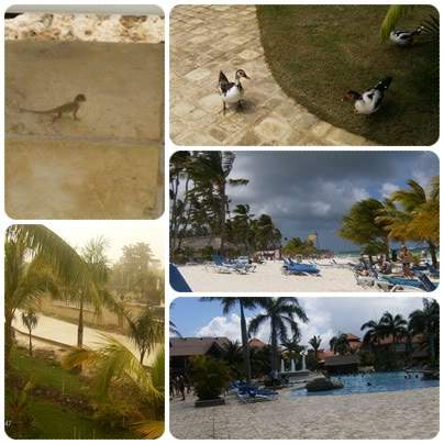 ai939.photobucket.com_albums_ad231_sandramos_report4.jpg