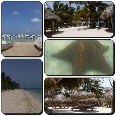 ai939.photobucket.com_albums_ad231_sandramos_report6.jpg