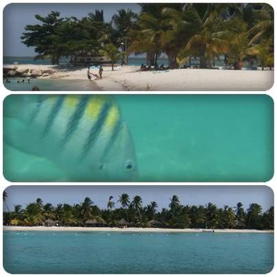 ai939.photobucket.com_albums_ad231_sandramos_report7.jpg
