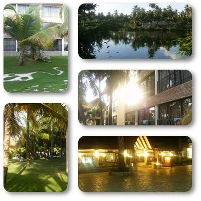 ai939.photobucket.com_albums_ad231_sandramos_report8.jpg