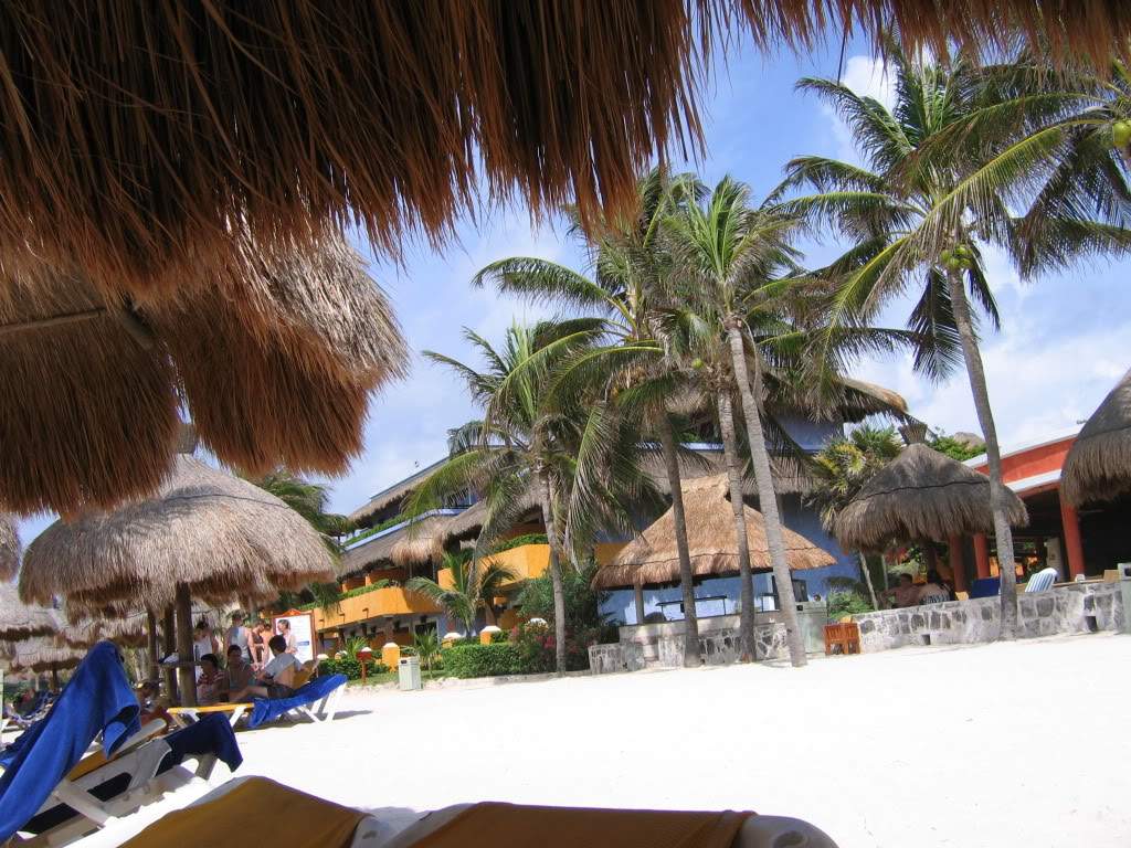 ai941.photobucket.com_albums_ad251_SunshineVM_IMG_2700.jpg