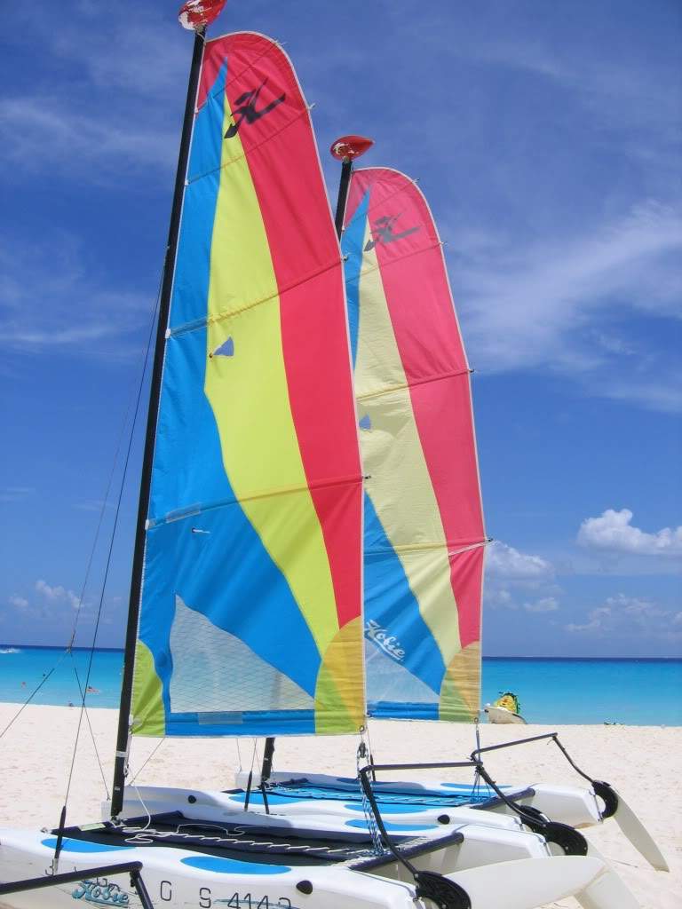 ai941.photobucket.com_albums_ad251_SunshineVM_IMG_2838.jpg