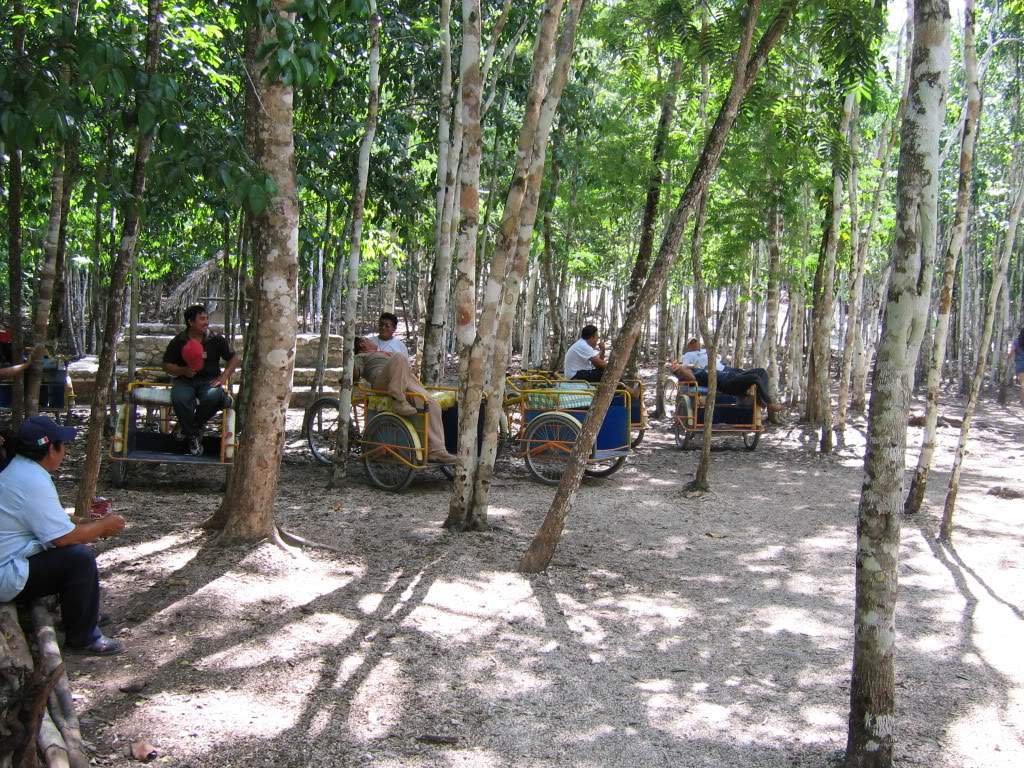 ai941.photobucket.com_albums_ad251_SunshineVM_IMG_2888.jpg
