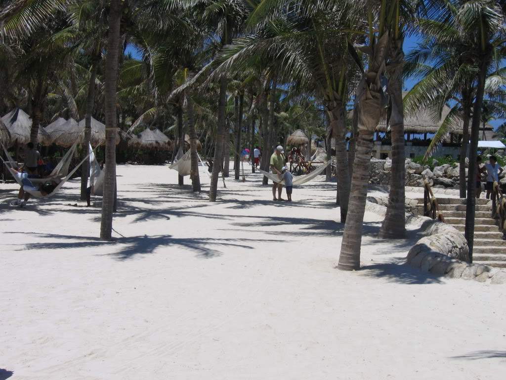 ai941.photobucket.com_albums_ad251_SunshineVM_IMG_3183.jpg