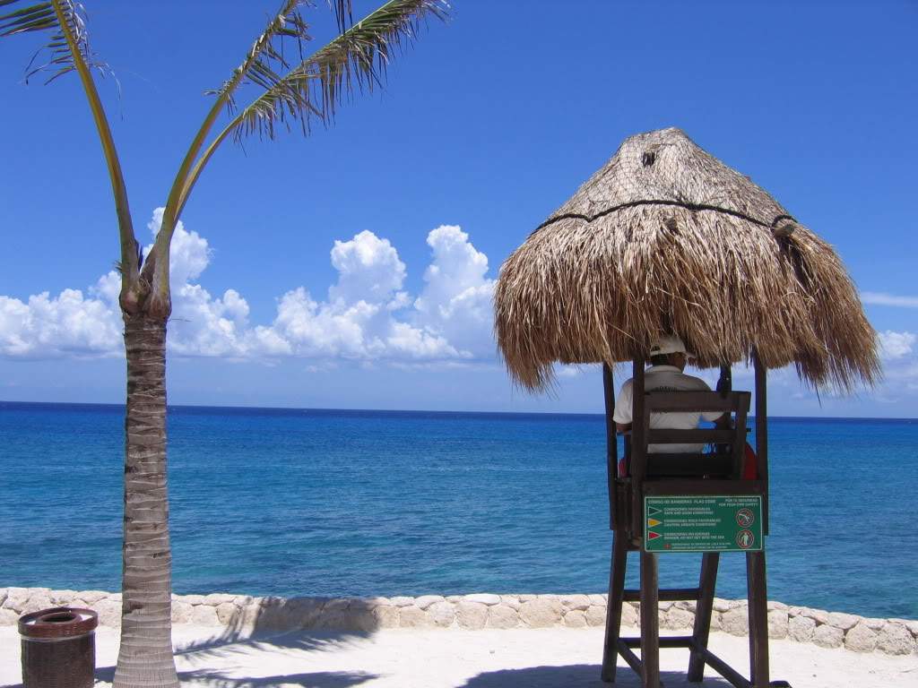 ai941.photobucket.com_albums_ad251_SunshineVM_IMG_3189.jpg