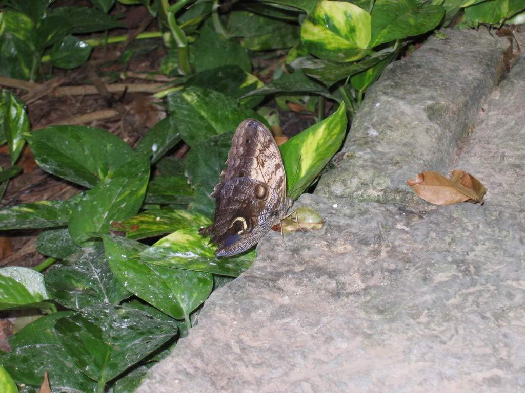 ai941.photobucket.com_albums_ad251_SunshineVM_IMG_3260.jpg