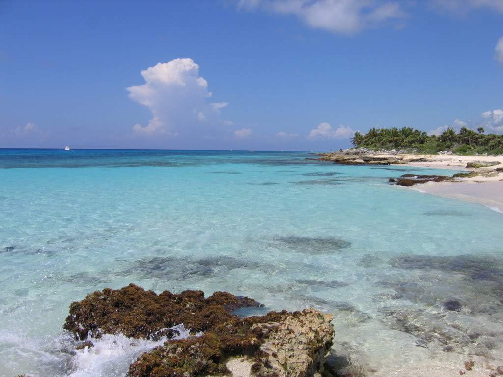 ai941.photobucket.com_albums_ad251_SunshineVM_IMG_3464.jpg