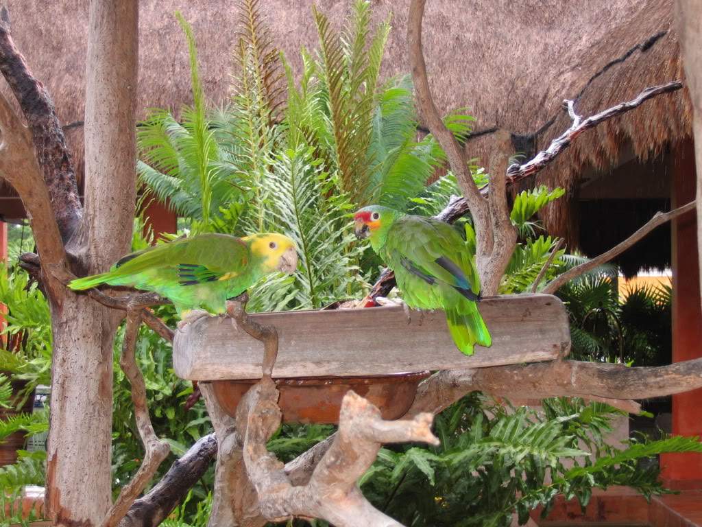 ai941.photobucket.com_albums_ad251_SunshineVM_IMG_3596.jpg