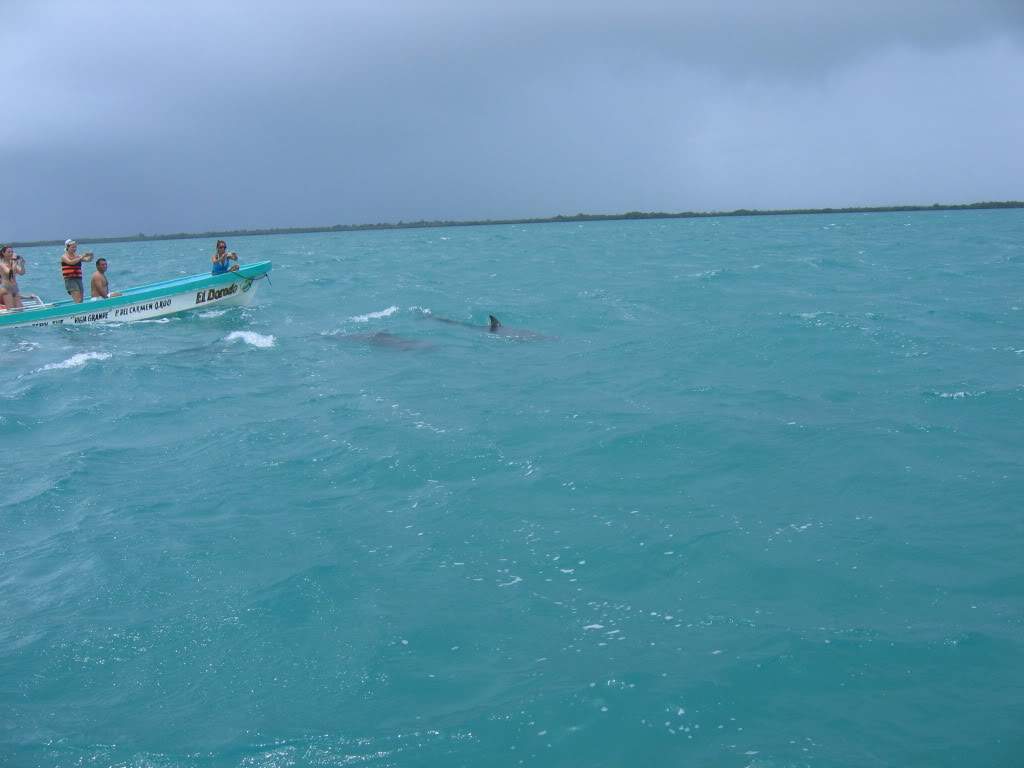 ai941.photobucket.com_albums_ad251_SunshineVM_IMG_3687.jpg