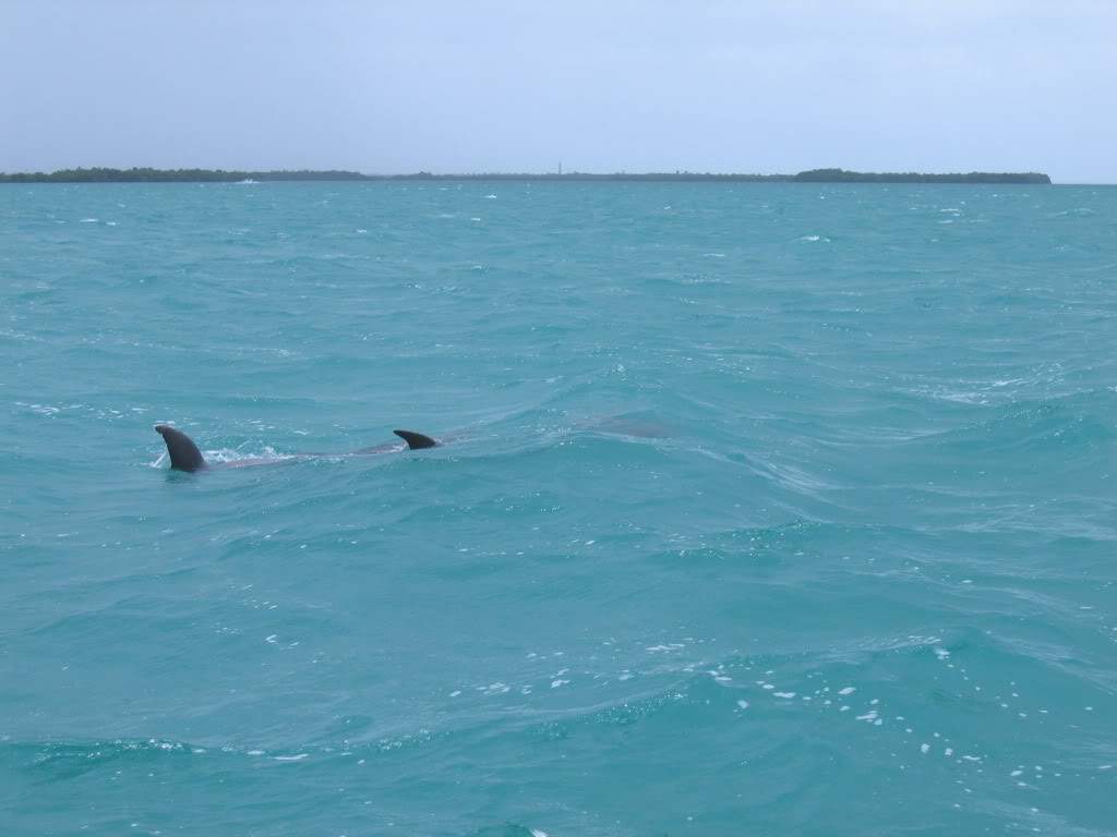 ai941.photobucket.com_albums_ad251_SunshineVM_IMG_3689.jpg