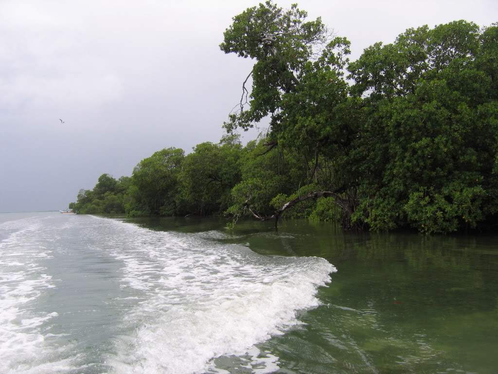 ai941.photobucket.com_albums_ad251_SunshineVM_IMG_3700.jpg