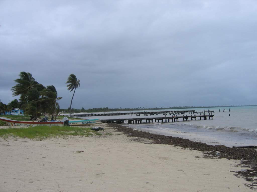 ai941.photobucket.com_albums_ad251_SunshineVM_IMG_3718.jpg