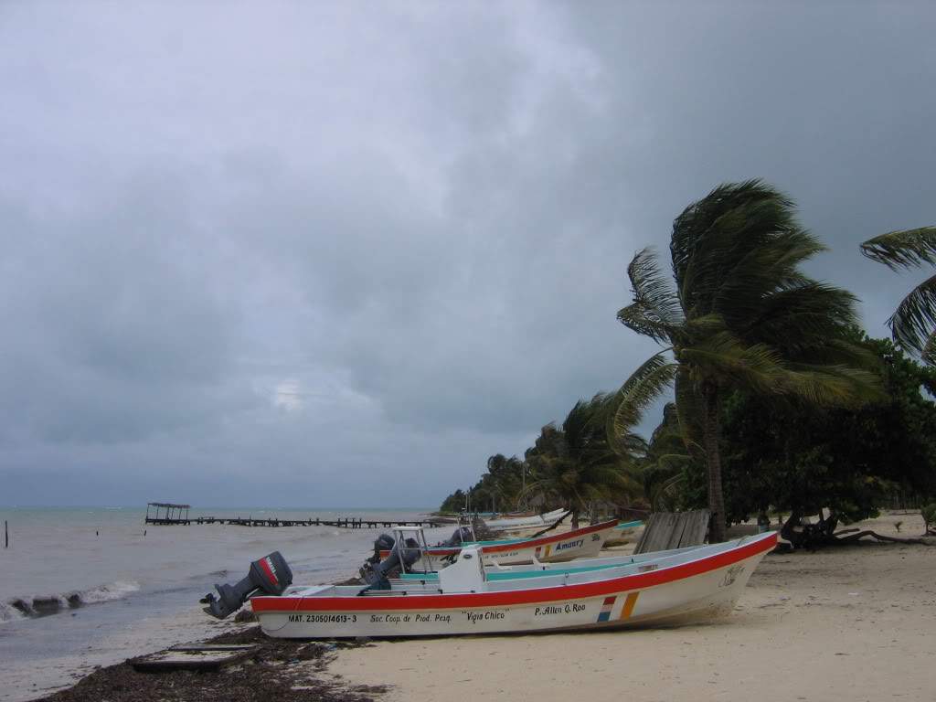 ai941.photobucket.com_albums_ad251_SunshineVM_IMG_3719.jpg