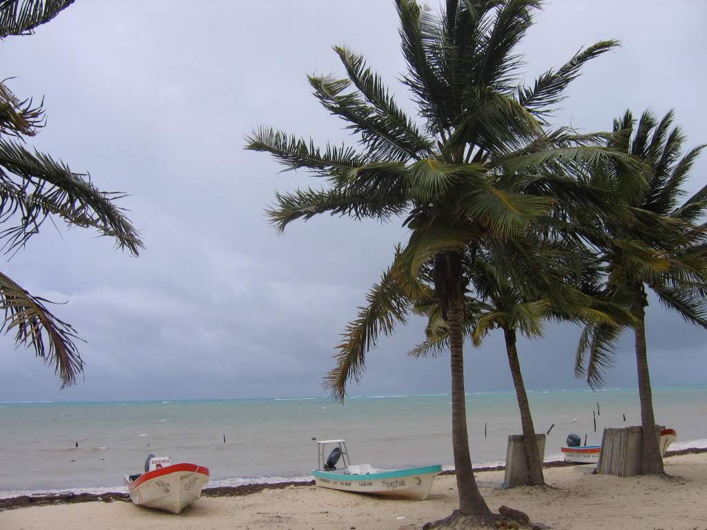 ai941.photobucket.com_albums_ad251_SunshineVM_IMG_3723.jpg