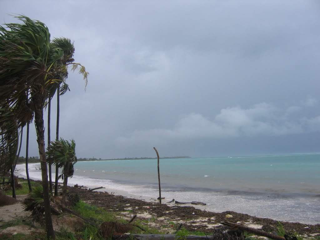 ai941.photobucket.com_albums_ad251_SunshineVM_IMG_3744.jpg