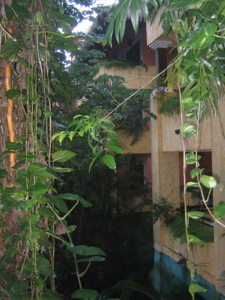 ai941.photobucket.com_albums_ad251_SunshineVM_IMG_3748.jpg