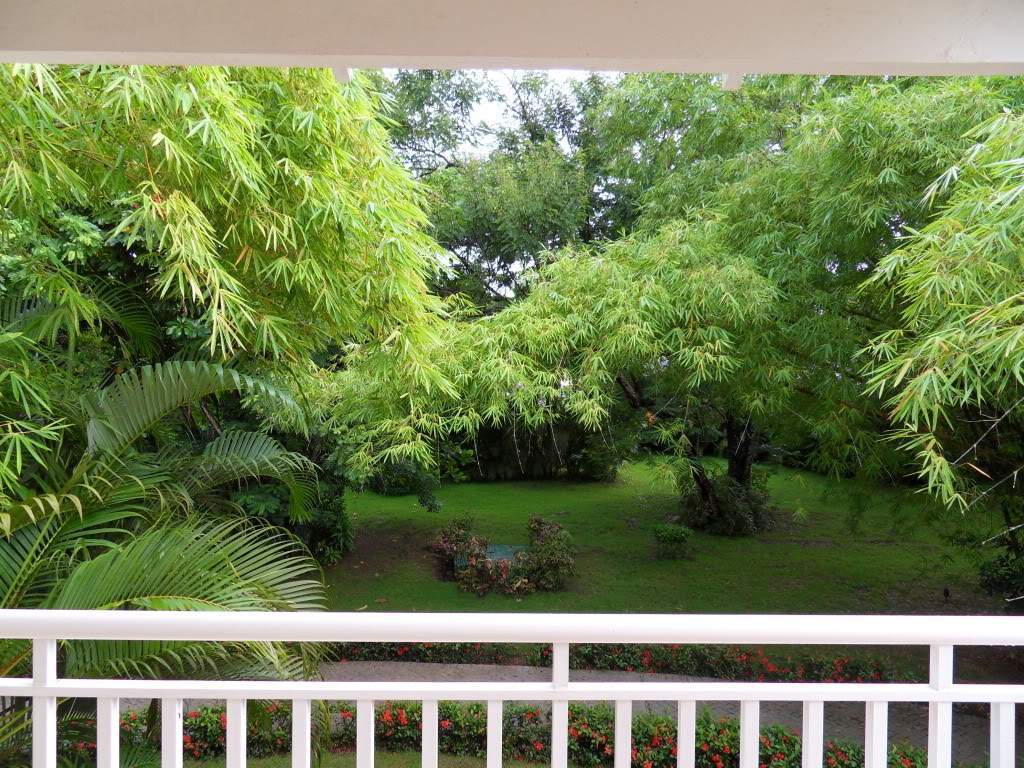 ai945.photobucket.com_albums_ad293_silva_telma_SDC10121.jpg