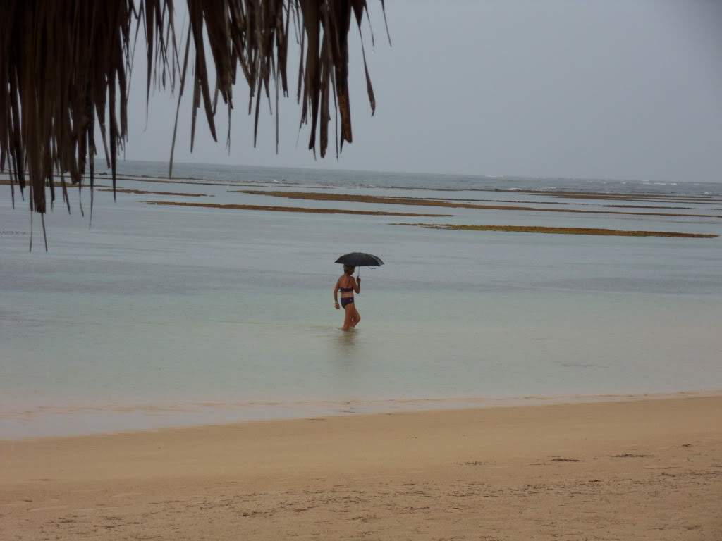 ai945.photobucket.com_albums_ad293_silva_telma_SDC10138.jpg