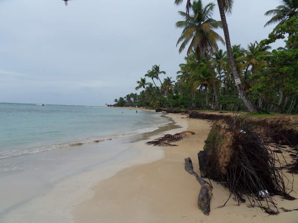ai945.photobucket.com_albums_ad293_silva_telma_SDC10158.jpg