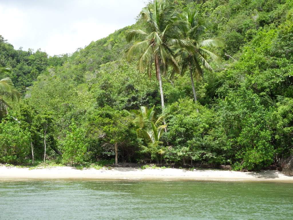 ai945.photobucket.com_albums_ad293_silva_telma_SDC10419.jpg