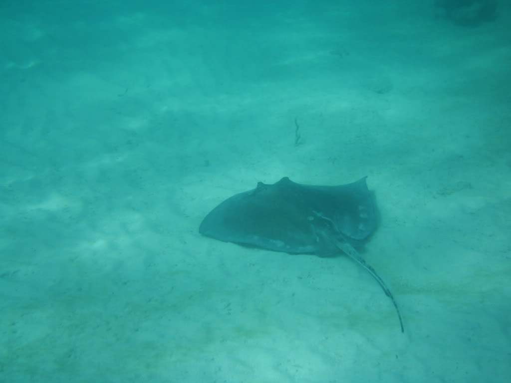 ai952.photobucket.com_albums_ae3_vandaandre_PICT0015.jpg