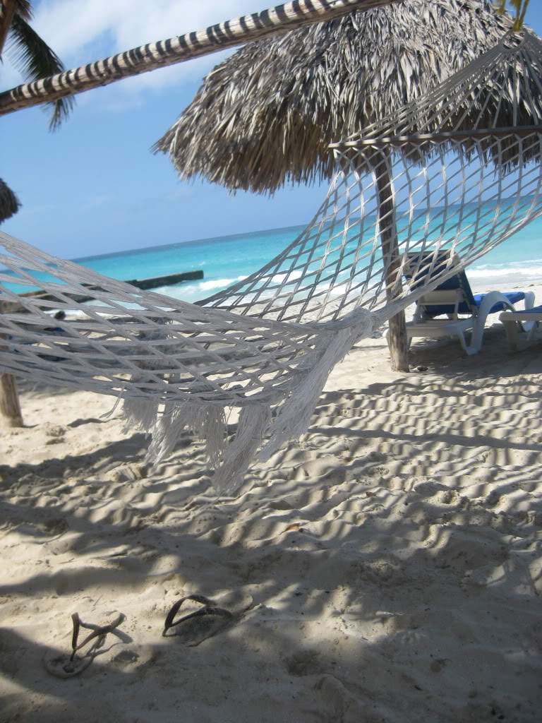 ai953.photobucket.com_albums_ae13_zitita_IMG_9127.jpg