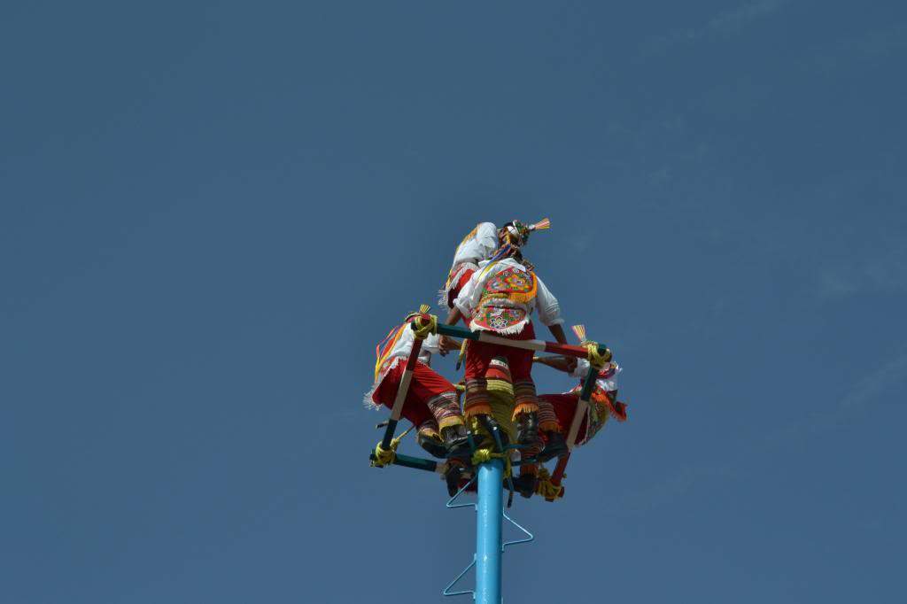 ai960.photobucket.com_albums_ae82_lmcardoso_DSC_5206_zps33fb2f9d.jpg