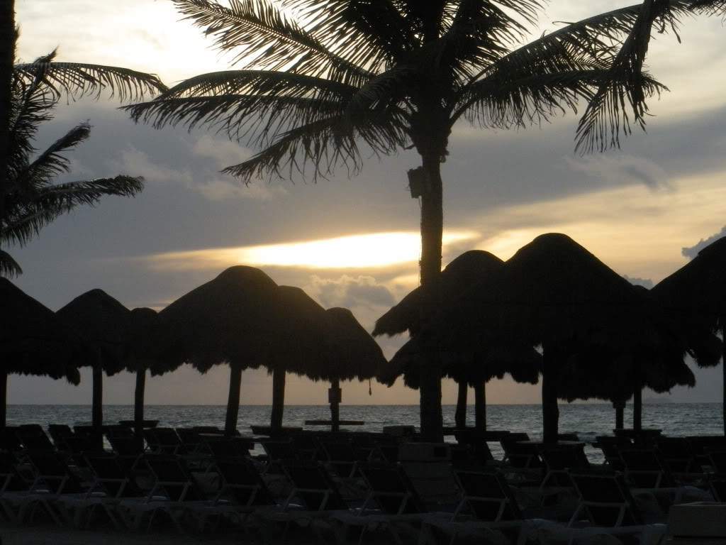 ai960.photobucket.com_albums_ae82_lmcardoso_DSCN1757.jpg