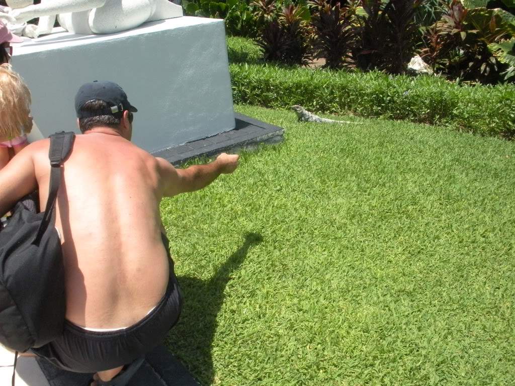 ai960.photobucket.com_albums_ae82_lmcardoso_DSCN1771.jpg