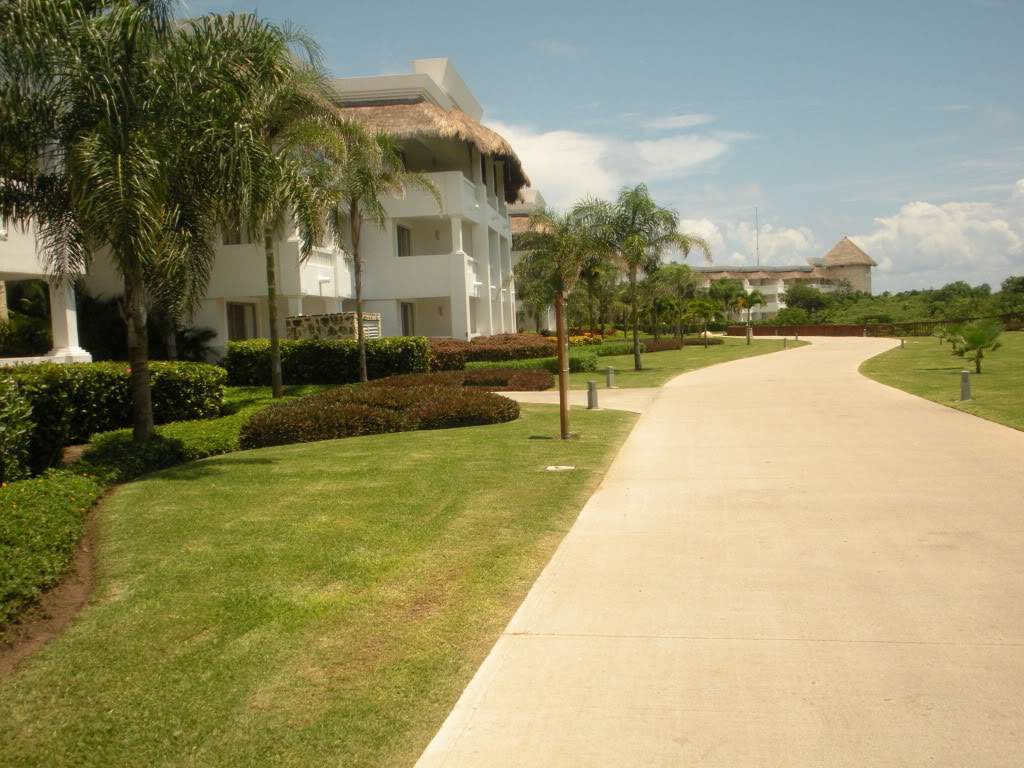 ai960.photobucket.com_albums_ae82_lmcardoso_DSCN1946.jpg
