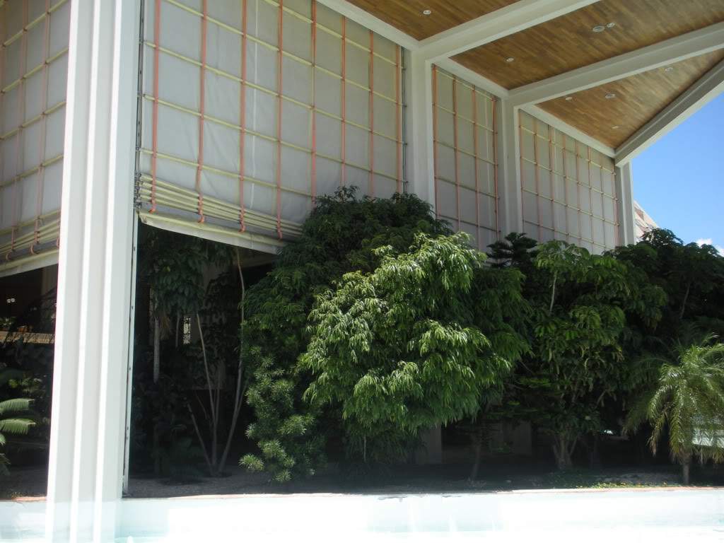ai960.photobucket.com_albums_ae82_lmcardoso_DSCN4066.jpg