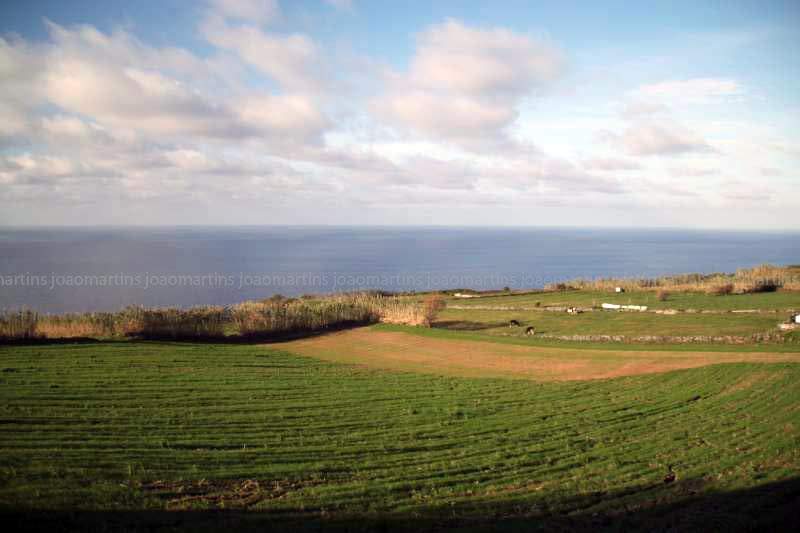 ai966.photobucket.com_albums_ae144_martinsjoao_Acores_IMG_5075_800.jpg