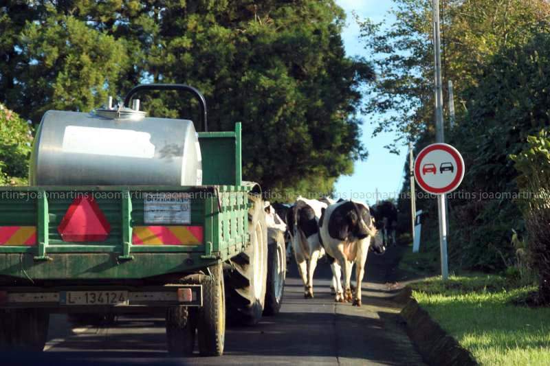 ai966.photobucket.com_albums_ae144_martinsjoao_Acores_IMG_5093_800.jpg