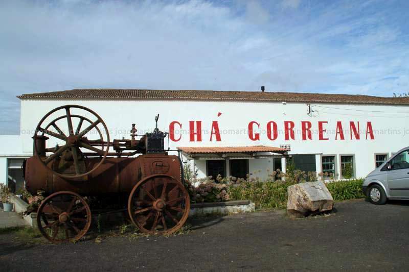 ai966.photobucket.com_albums_ae144_martinsjoao_Acores_IMG_5438_800.jpg